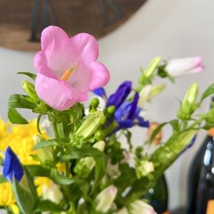 Meet your Posher, Amaya